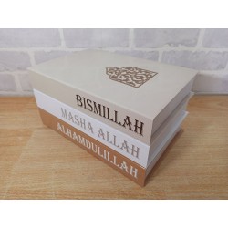 copy of Deco Dummy Book - DDB001