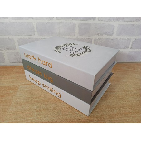 motivation deco dummy book