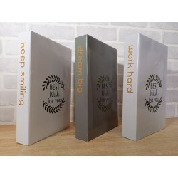 motivation deco dummy book