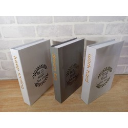 motivation deco dummy book